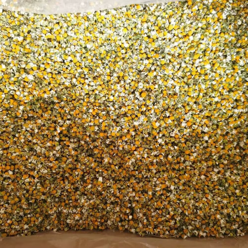 High Quality Natural Chamomile - đánh giá và giá Chamomile Tea